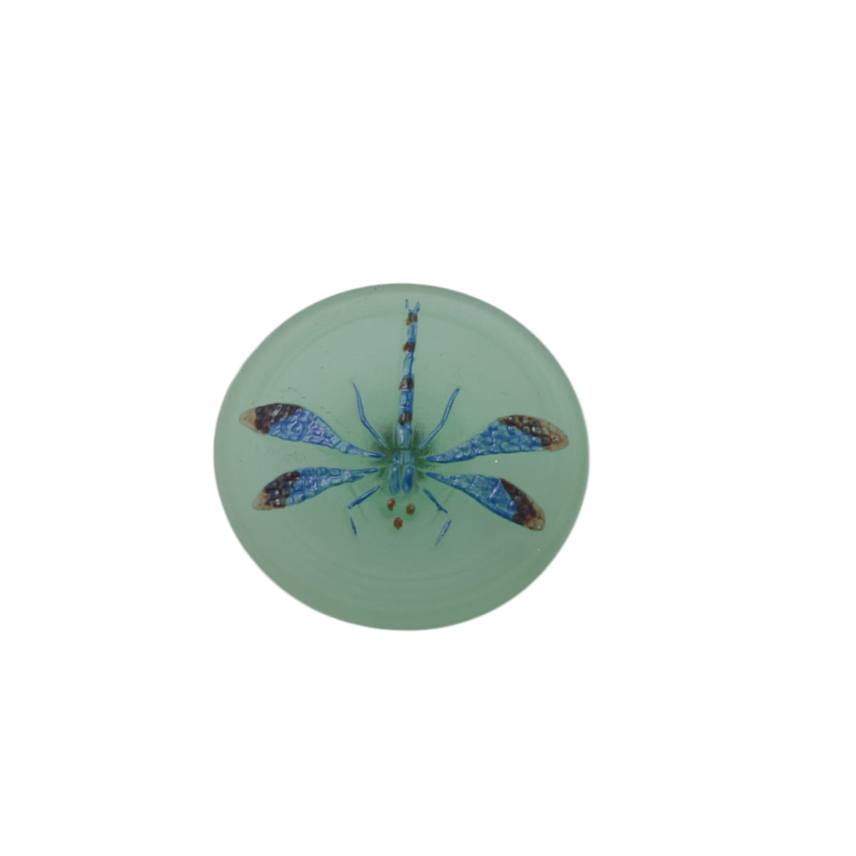 Czech Glass Dragonfly Button 31mm - Sea Green with Blue Wings