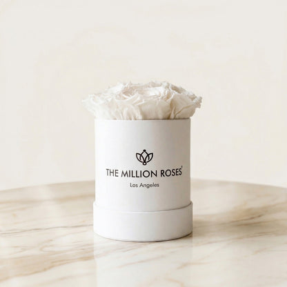 Essence White Box | White Roses