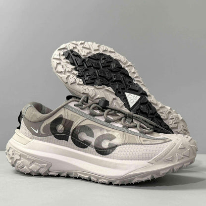 Nike ACG Mountain Fly 2 Low 'Light Iron Ore'