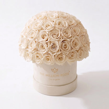 Classic Beige Suede Superdome Box | White Roses