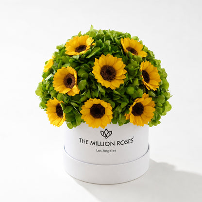 Classic White Box | Green Hydrangeas & Sunflowers