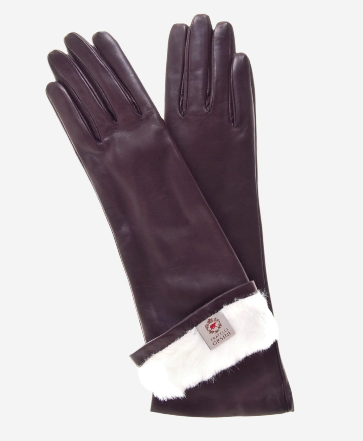 CR4001W6 (brown) - Italian rabbit fur lined 6-button length leather gloves — photo 1 of 8