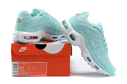 Nike Air Max Plus 'Igloo'
