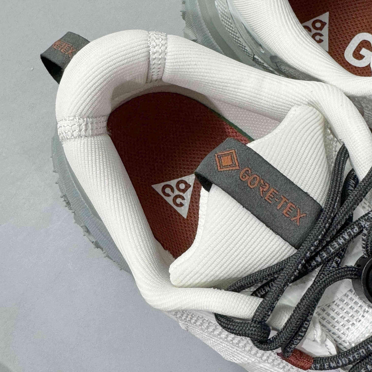 Nike ACG Mountain Fly 2 Low Gore-Tex 'Phantom Light Silver'