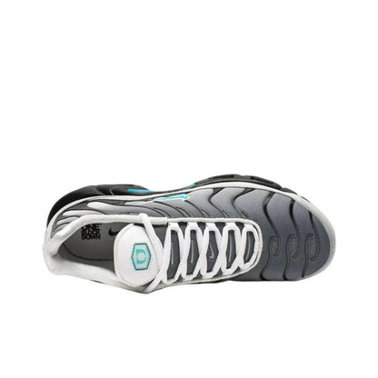 Nike Air Max Plus 'One Block Down Matte Silver'