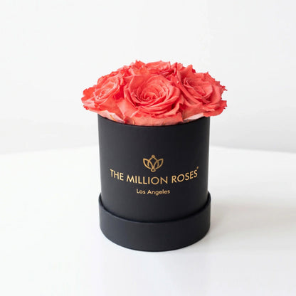 Essence Black Box | Coral Roses