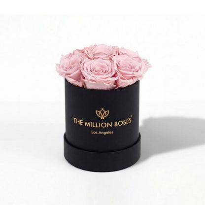Essence Black Box | Light Pink Roses