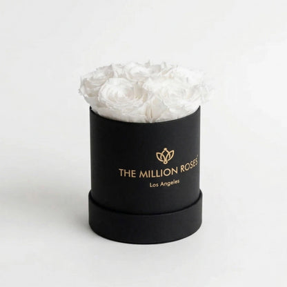 Essence Black Box | White Roses