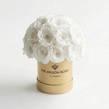 Essence Gold Superdome Box | White Roses