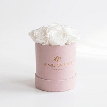 Essence Light Pink Suede Box | White Roses