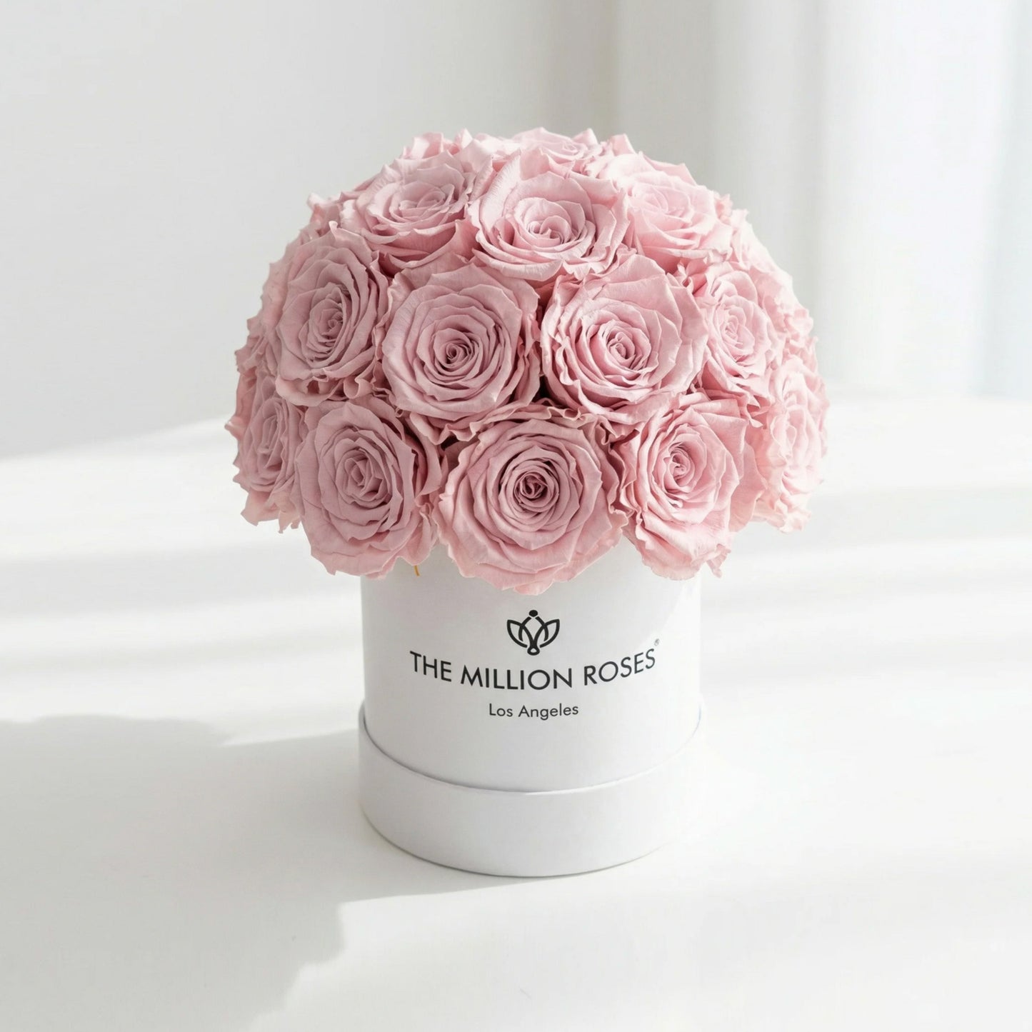 Essence White Superdome Box | Light Pink Roses