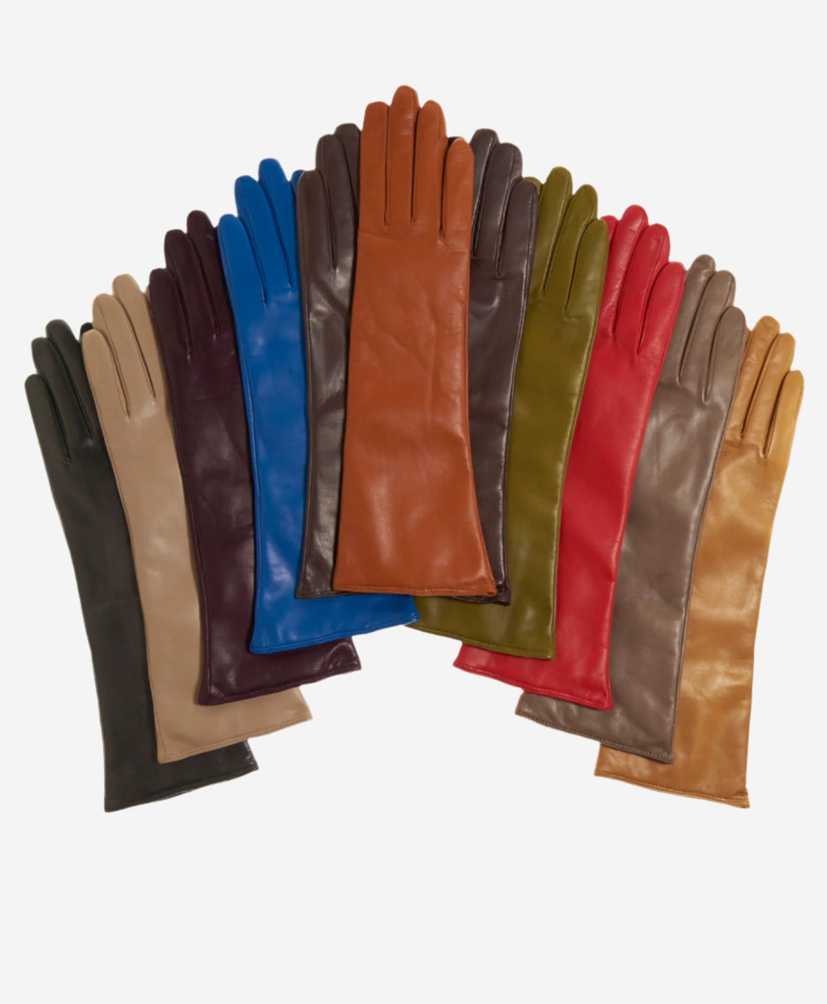 Leonora (beige) - Italian cashmere lined 6-button length leather gloves — photo 2 of 8