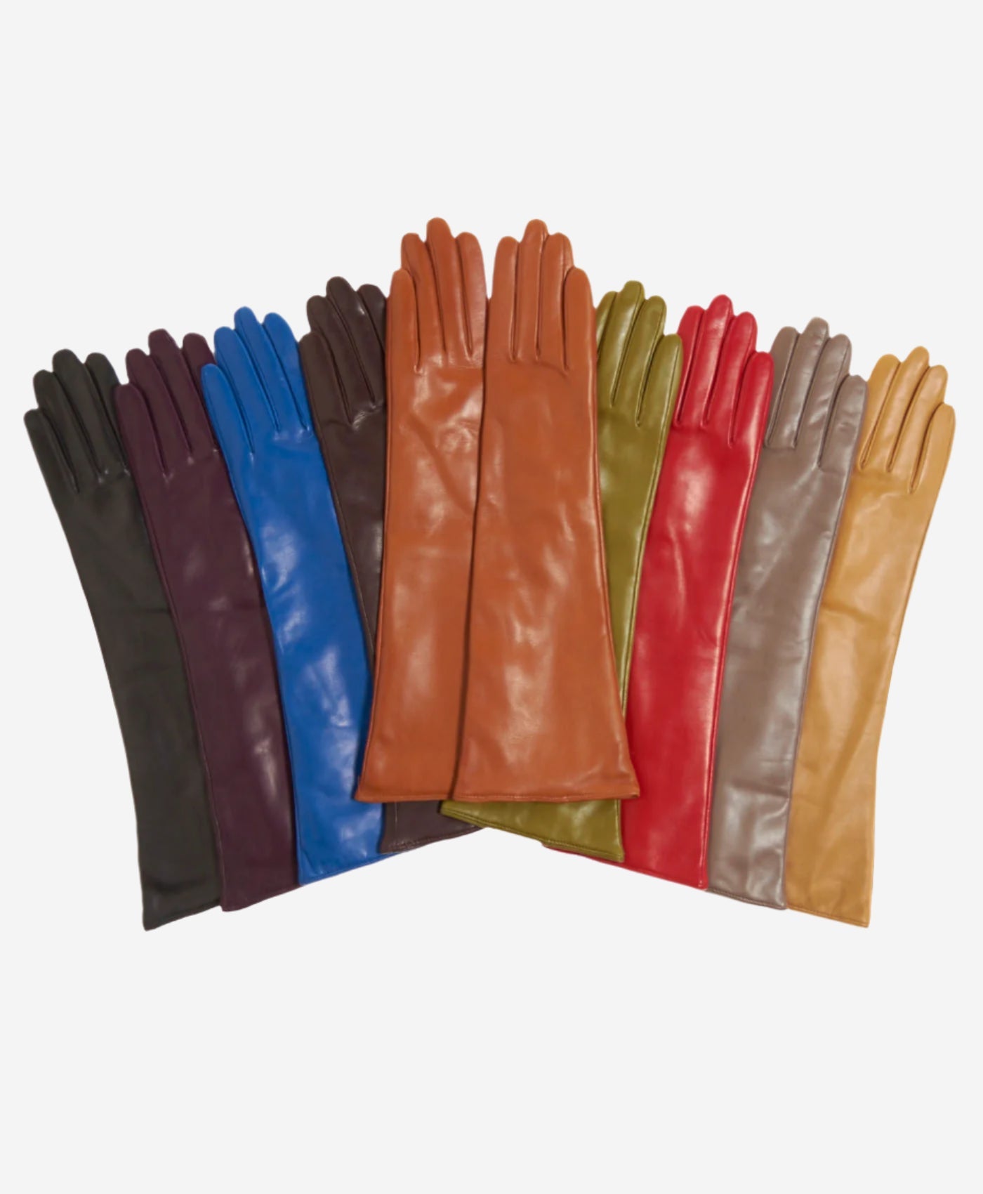 Leonora (taupe) - Italian "8 Button Length" Cashmere Lined Leather Gloves — photo 2 of 8