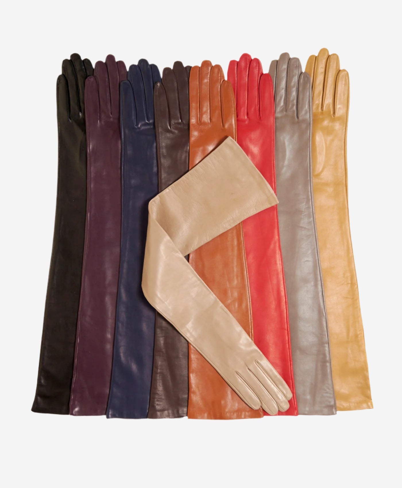 FS15W16 (vac) - Italian silk lined opera leather gloves 16-button length — photo 3 of 9