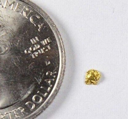 Alaskan Gold Nugget Genuine Yukon Small 22k .06g Fine