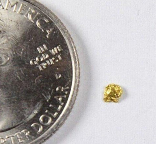 Alaskan Gold Nugget Genuine Yukon Small 22k .05g Fine
