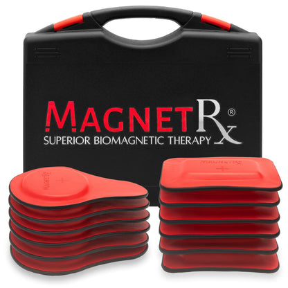 Biomagnetic Therapy Magnet Kit — Ferrite & Leather (12 Mixed Units)