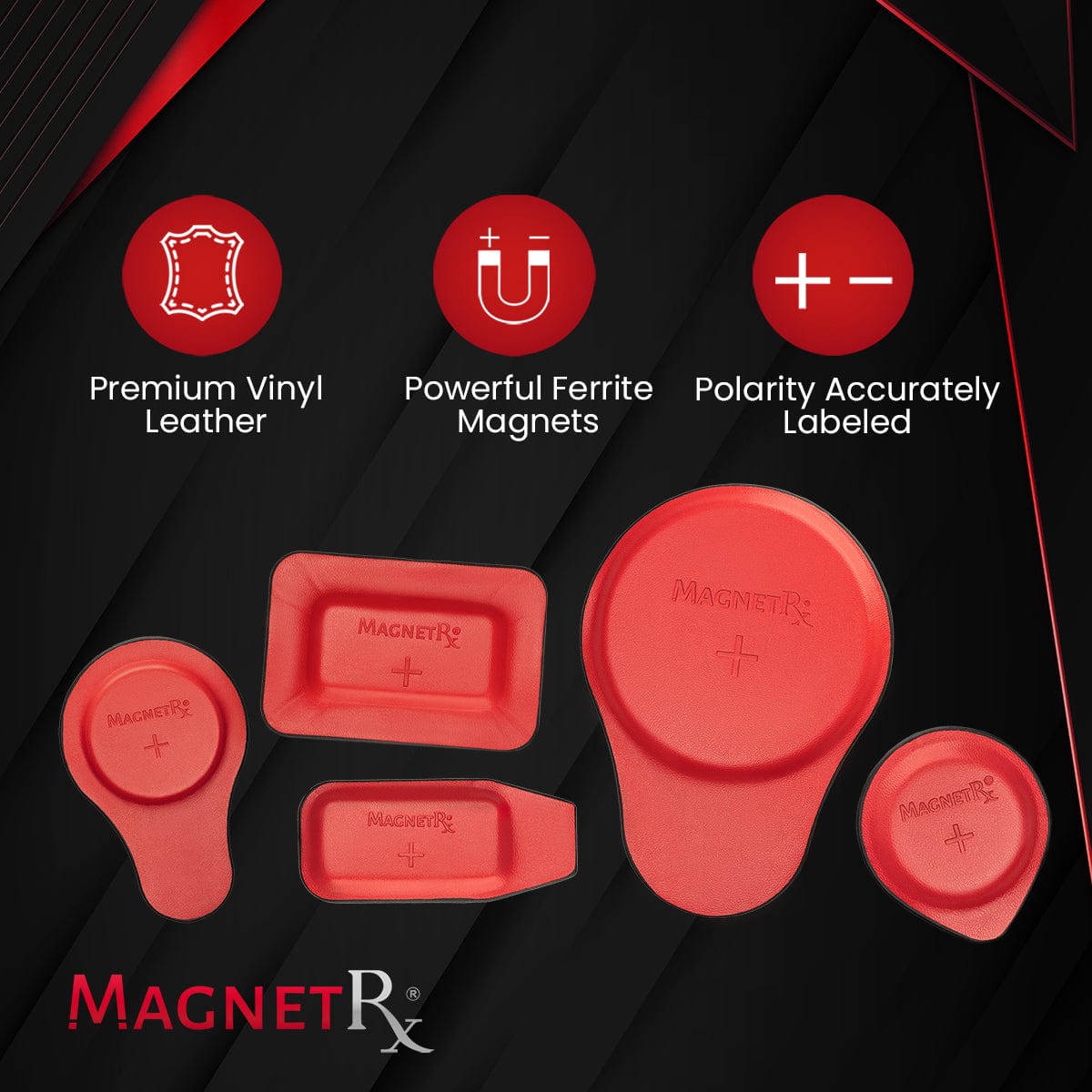 Biomagnetic Therapy Magnet Kit — Ferrite & Leather (22 Mixed Units)