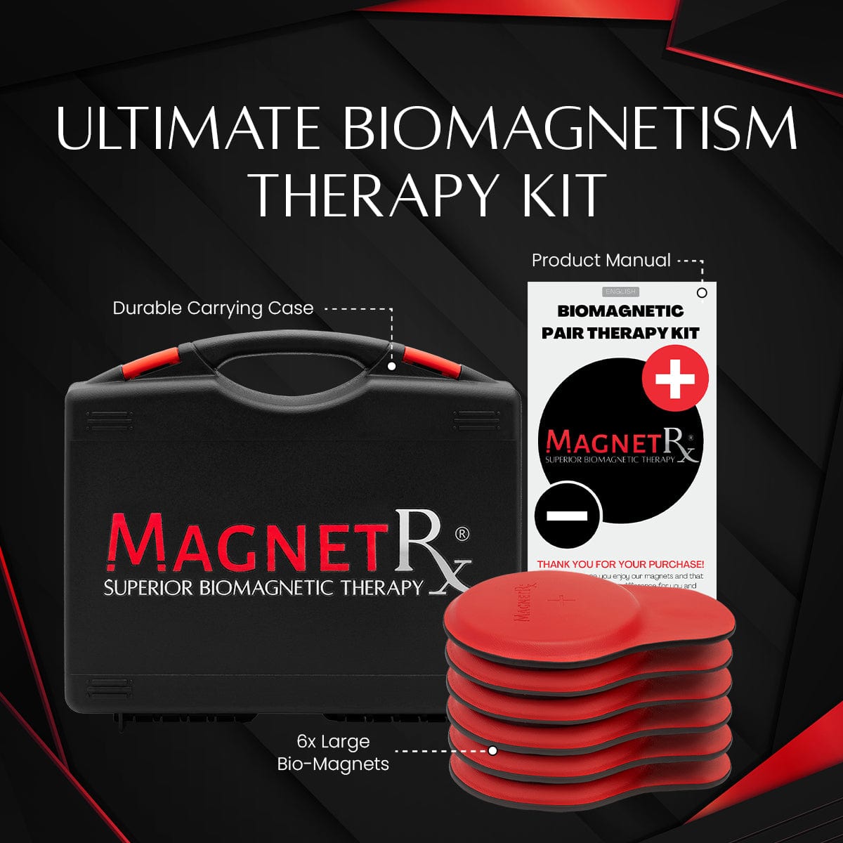 Biomagnetic Therapy Magnet Kit — Ferrite & Leather (6 Large Magnets)