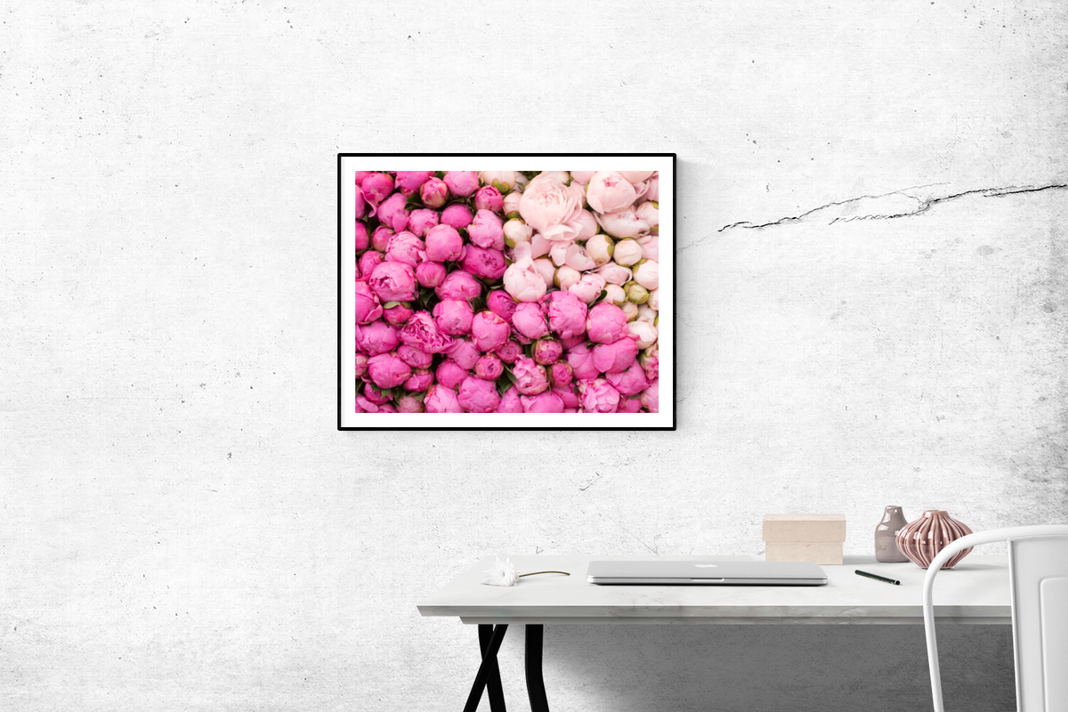 Peony Season in Paris