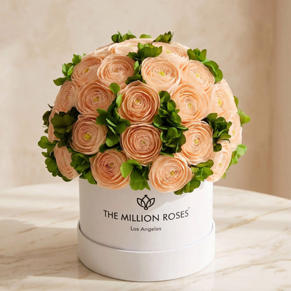 Classic White Box | Peach Persian Buttercups & Green Hydrangeas