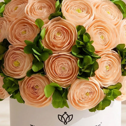 Classic White Box | Peach Persian Buttercups & Green Hydrangeas