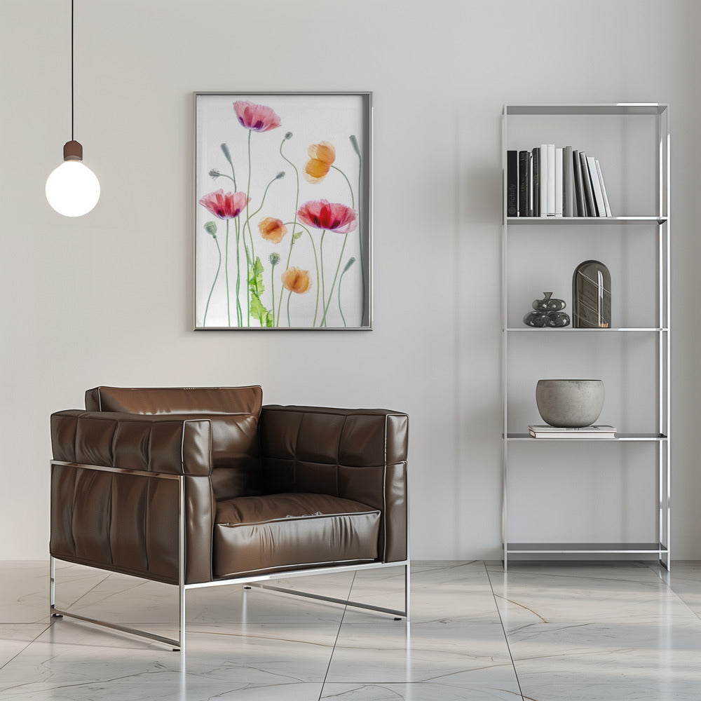 Wall art Poppies1