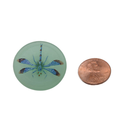 Czech Glass Dragonfly Button 31mm - Sea Green with Blue Wings
