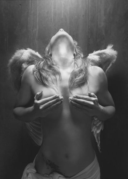 Wall Art Fallen angel