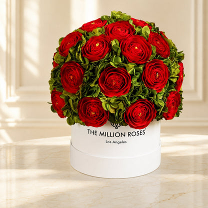 Classic White Box | Red Persian Buttercups & Green Hydrangeas