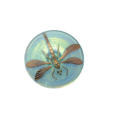 Czech Glass Dragonfly Button 40mm - Aqua Blue with Golden Iridescent Finish