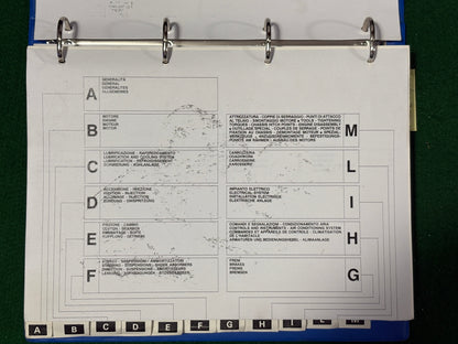 Ferrari Testarossa Workshop Manual (330/84) (MP)