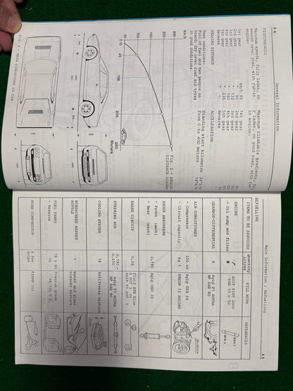 Ferrari Dino 308 GT4 Workshop Manual (110/75)(MP)(SC)
