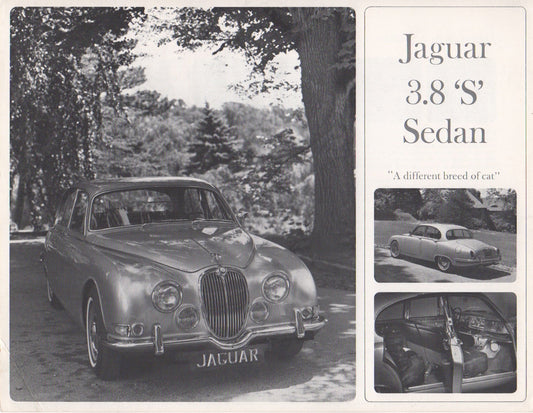 Jaguar 3.8 "S" Sedan Brochure 1965 (single sheet)