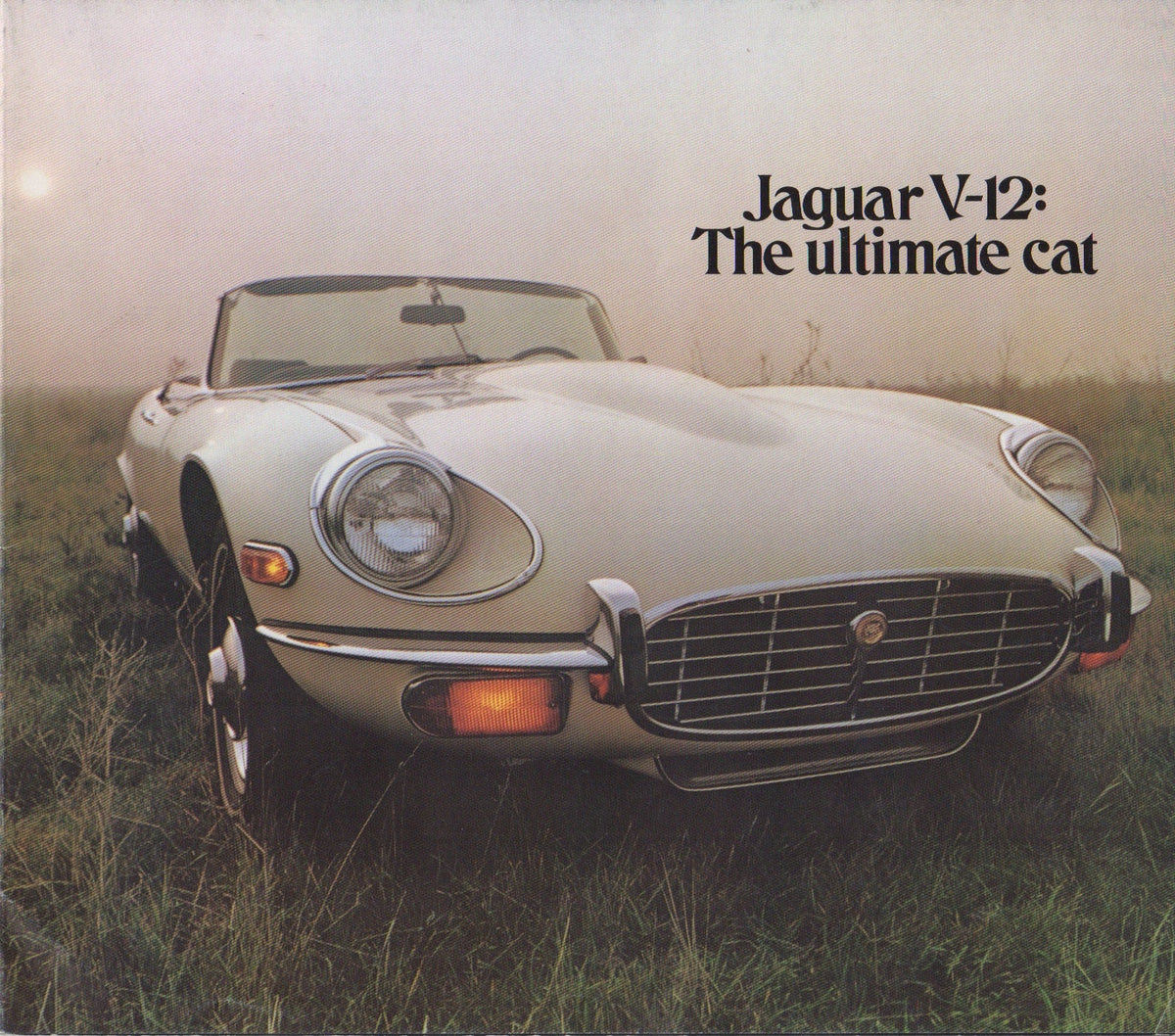 Jaguar V-12 E-Type Brochure 1971