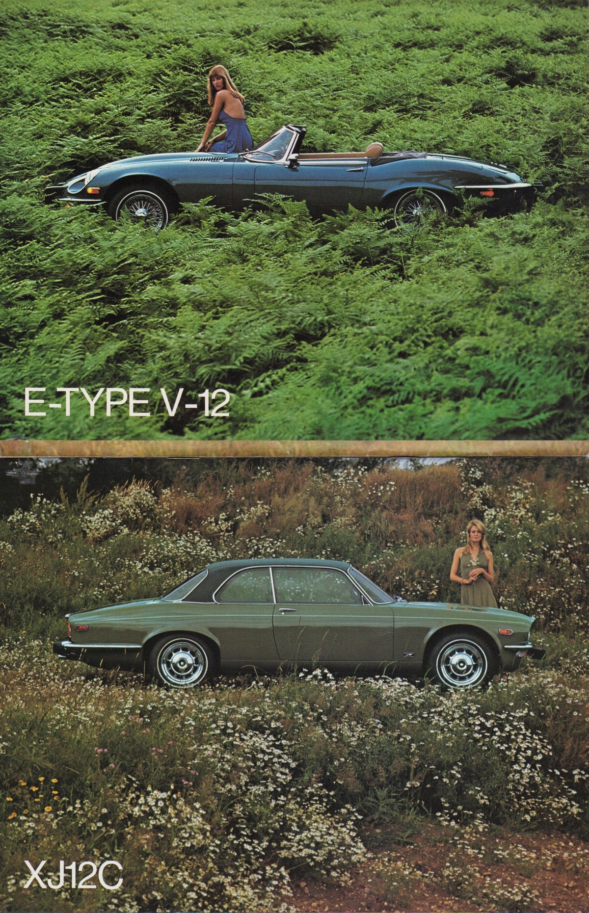 Jaguar V-12 E-Type - XJ12C - XJ12L - XJ6 Deluxe Brochure 1974